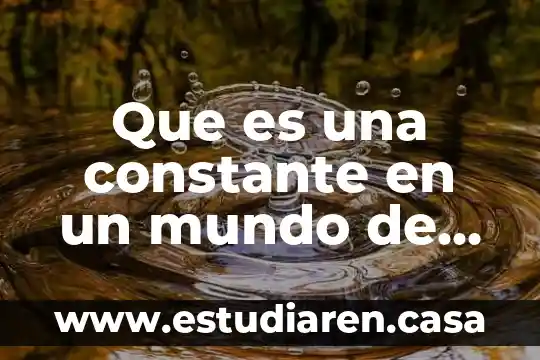 Que es la comprension mas amplia del mundo 5 Que es una constante en un mundo de variables