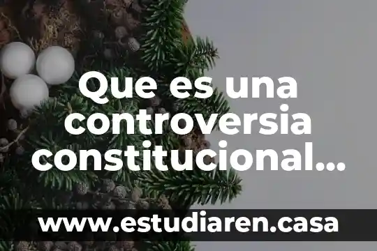 Que es una controversia constitucional el juego de la corte