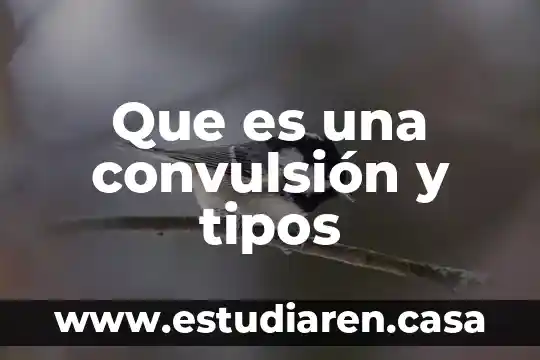 Que es una convulsión y tipos
