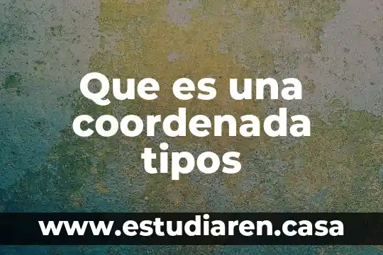 Que es una coordenada tipos