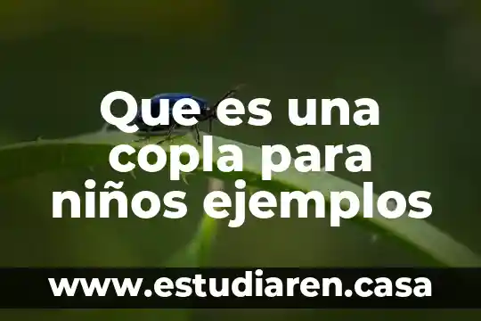 Que es imeca ejemplos 6 Que es una copla para niños ejemplos