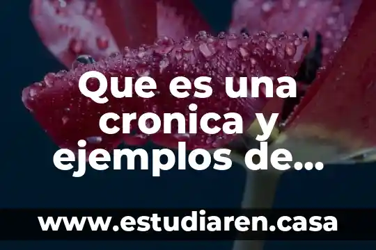 Que es una cronica y ejemplos de ella