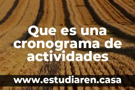 Que es un diseño de investigación o cronograma 3 Que es una cronograma de actividades