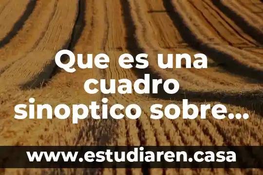 Que es cuadro sinoptico de las medidas cautelares 5 Que es una cuadro sinoptico sobre el cuadro sinóptico