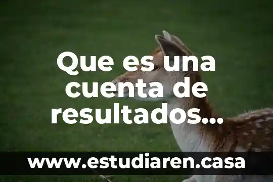 Que es la cuenta de compras en contabilidad 5 Que es una cuenta de resultados deudora