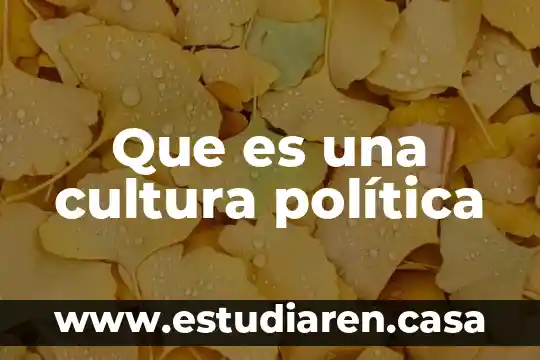 Que es una cultura política