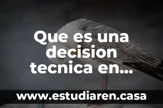 Qué es método de Hunt árboles de decisión 3 Que es una decision tecnica en economia