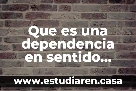 Qué es sentido ciencia 4 Que es una dependencia en sentido politico
