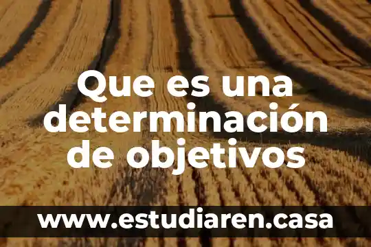 Que es la oea objetivos 4 Que es una determinación de objetivos