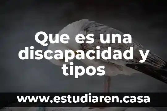 Que es una discapacidad y tipos