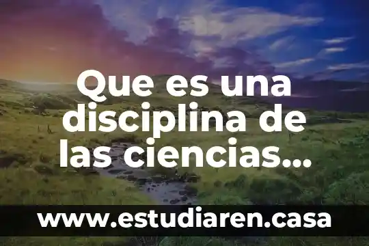 Que es una disciplina de las ciencias sociales