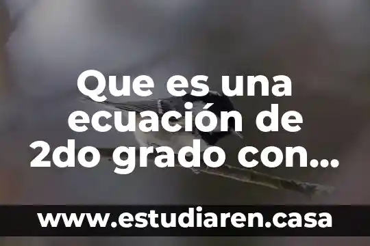 Que es una ecuacion quimica que indica el coeficientes 6 Que es una ecuación de 2do grado con una variable