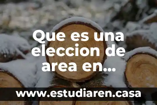 Que es una eleccion de area en bachillerato