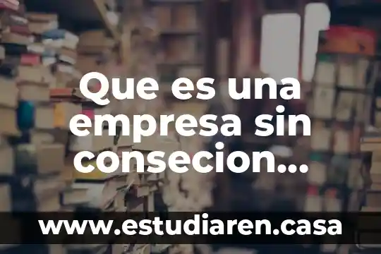 Que es una empresa sin consecion segun autores