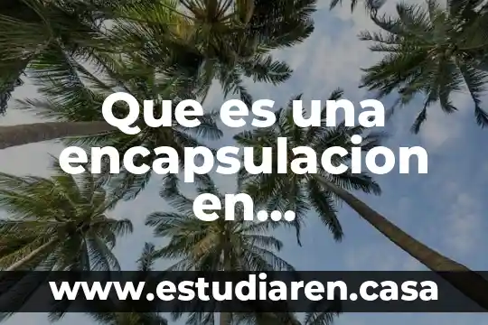 Que es programacion orientada a objetos visual basic 7 Que es una encapsulacion en programación orientada a objetos
