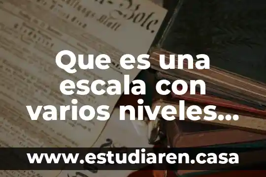 Qué es efecto varios componentes de sil-all 8 Que es una escala con varios niveles de desempeño