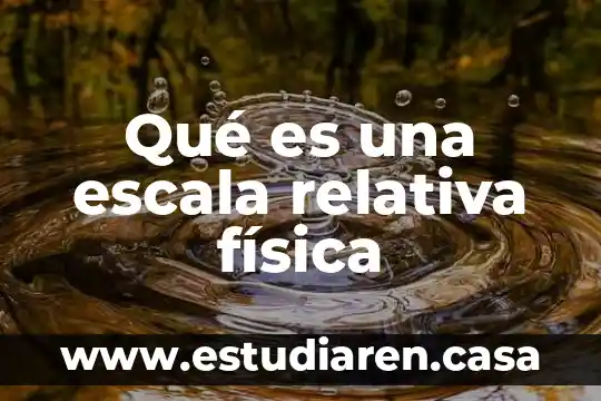 Qué es economías a escala 8 Qué es una escala relativa física