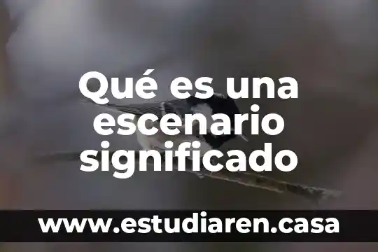 Qué es una escenario significado