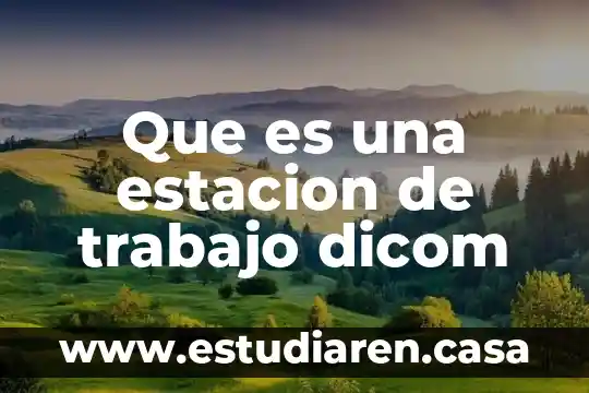 Que es el argumento de un trabajo 3 Que es una estacion de trabajo dicom