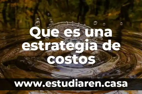 Que es una estrategia de costos