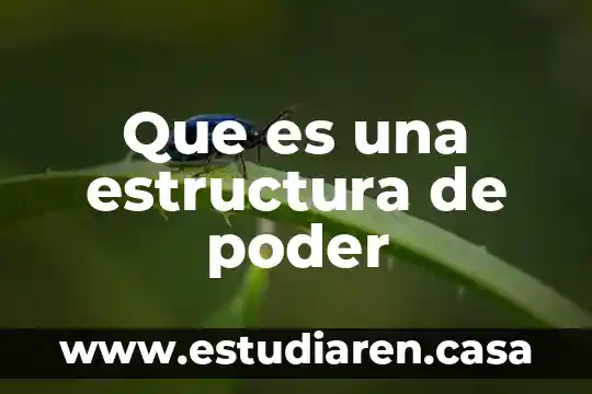 Qué es lo que conforma la estructura de una construcción 5 Que es una estructura de poder