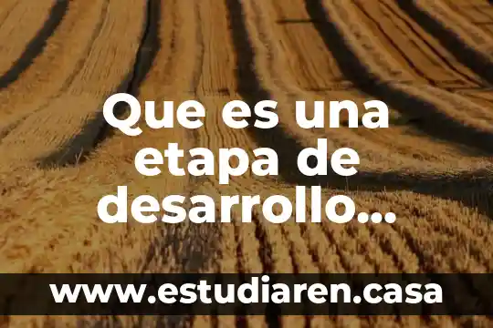 Que es una etapa de desarrollo psicomotor psicologia