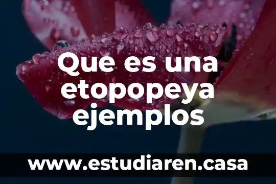 Que es una etopopeya ejemplos