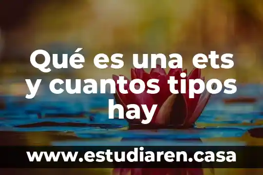 Qué es una ets y cuantos tipos hay