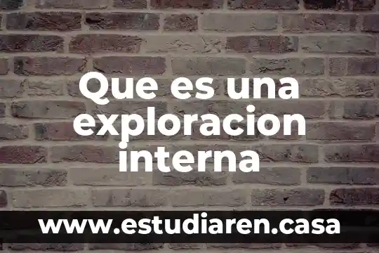 Que es reprecentacion interna 3 Que es una exploracion interna
