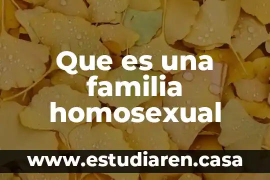 Que es una familia homosexual