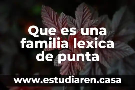 Que es la punta de lomo 3 Que es una familia lexica de punta