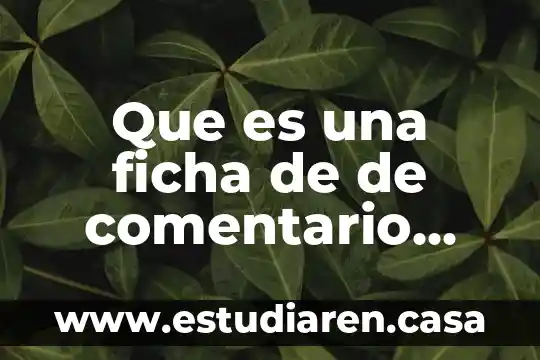 Que es un ficha texto 6 Que es una ficha de de comentario concepto y ejemplo