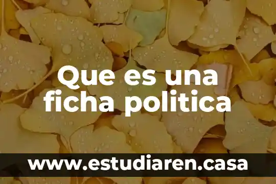 Que es un ficha texto 7 Que es una ficha politica