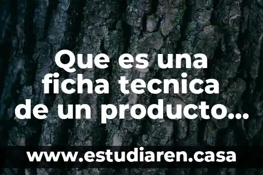 Que es un ficha texto 3 Que es una ficha tecnica de un producto de limpieza