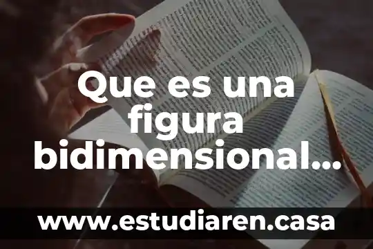 Que es una figura bidimensional ejemplos