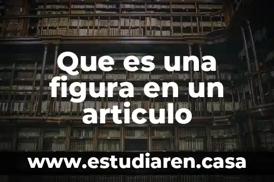 Que es una figura en un articulo