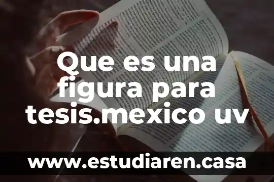 Que es una figura para tesis.mexico uv