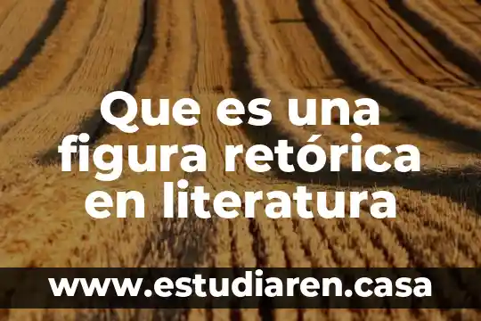 Que es una figura retórica en literatura