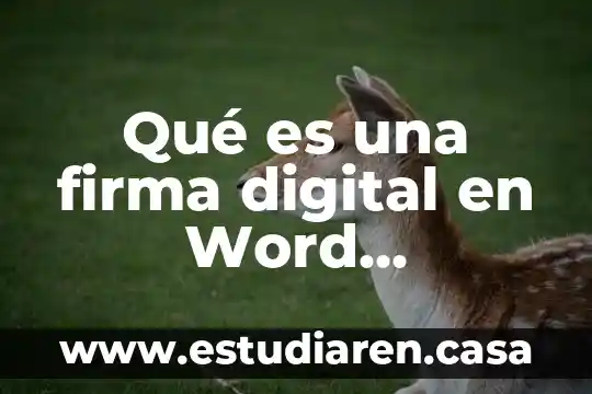 Qué es la fluidez digital 8 Qué es una firma digital en Word definición