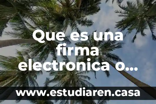Que es una firma electronica o digital