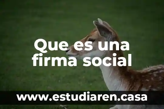 Que es una firma social