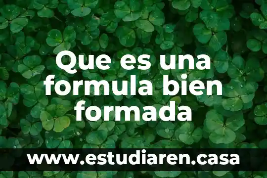 Que es una formula bien formada