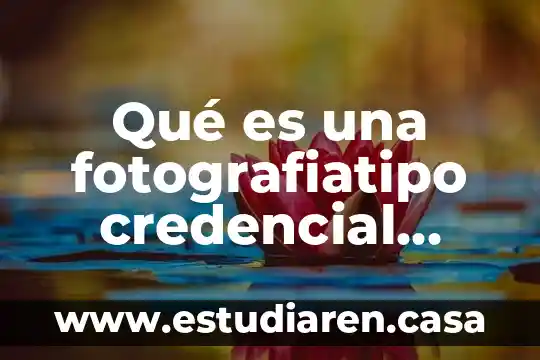 Qué es un disco digital 7 Qué es una fotografiatipo credencial digital