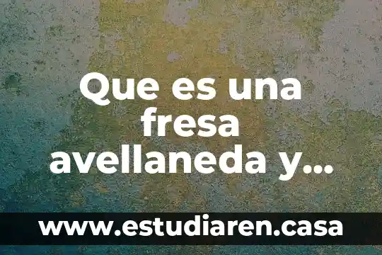 Qué es un fresa en México 8 Que es una fresa avellaneda y para que sirve