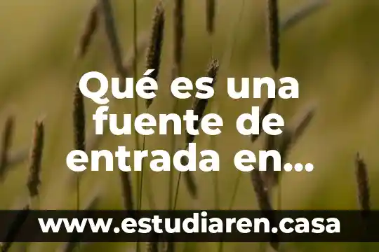Que es roo teoria de colas 3 Qué es una fuente de entrada en teoría de colas