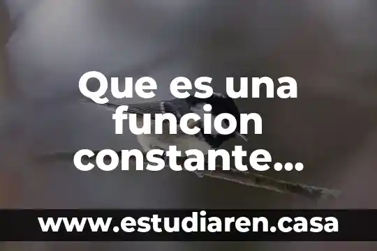 Que es una funcion constante como deribado