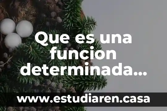 Que es una funcion determinada de excel
