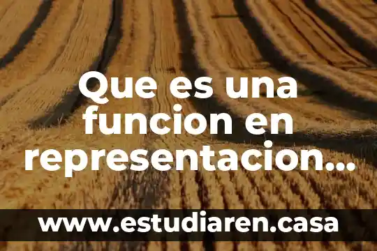 Que es una funcion en representacion graficsa calculo diferencial