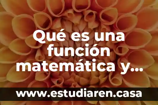 Qué es una línea suave en una gráfica 5 Qué es una función matemática y cómo se grafica