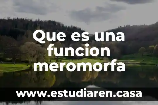 Que es la funcion de las vacunas 8 Que es una funcion meromorfa